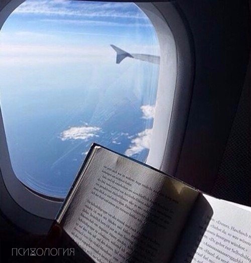 И вот так они оба друг без друга живут. 