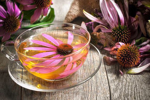 Настойка для чистки крови