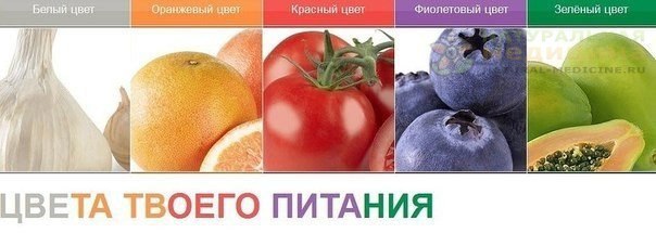 ЦВЕТ ПИЩИ И ЗДОPОВЬЕ