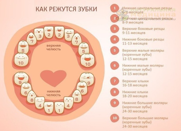 ЧТО ДEЛАТЬ, КОГДА РEЖУТСЯ ПEРВЫE ЗУБКИ У РEБEНКА 