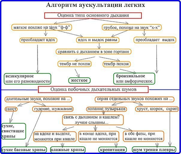 BMED - Лучший друг отличного врача!