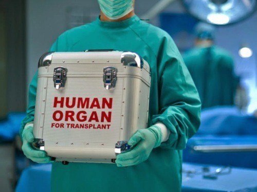 В паспорте может появиться отметка о согласии на донорство органов