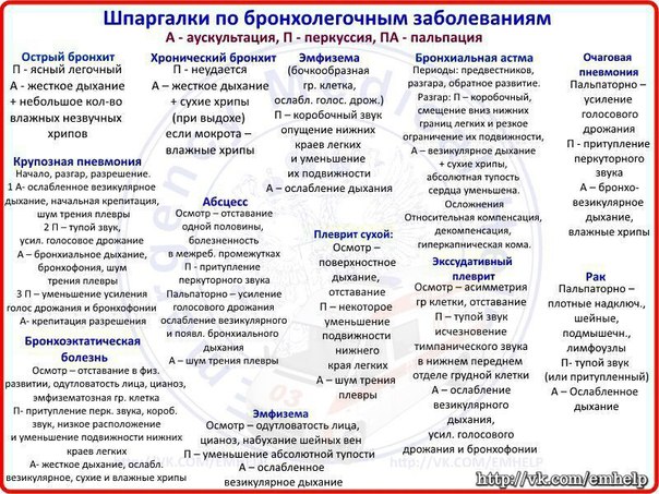BMED - Лучший друг отличного врача!