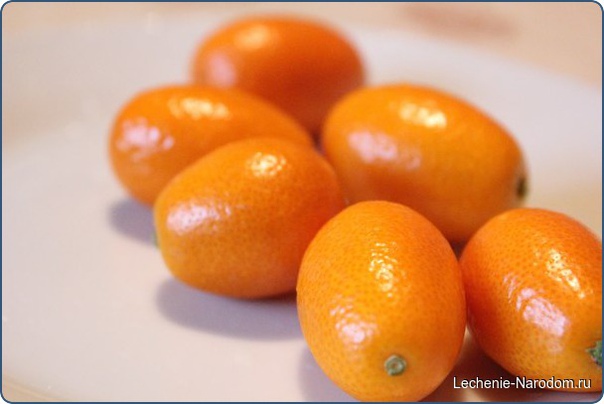 Маленький «апельсинчик» — кумкват и бесподобное антибактериальное варенье.