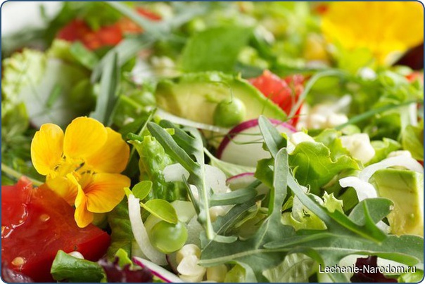 Не забывайте осенью о зелени!