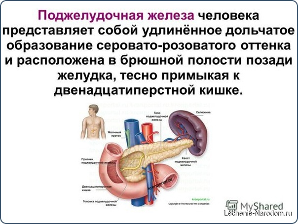 Как «болит» панкреатит 