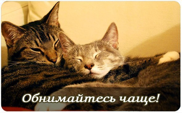 Обнимайтесь чаще!!!