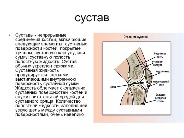 7 мифов о боли в суставах.