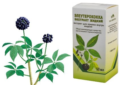 Экстракт элеутерококка от морщин, угрей, диабета и облысении. 