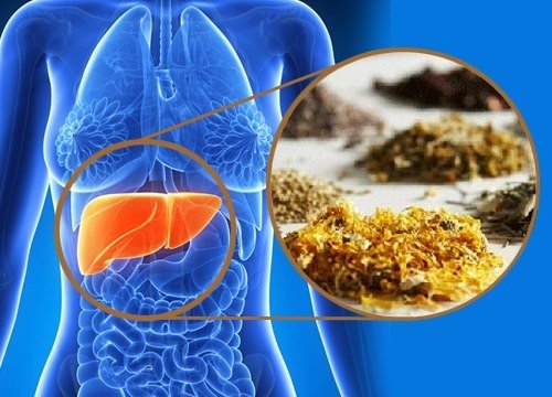 Лекарственные травы, которые помогут очистить печень 