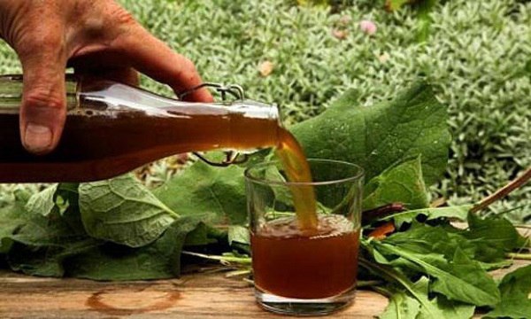 Очищение сосудов головного мозга. Проверенные методики 