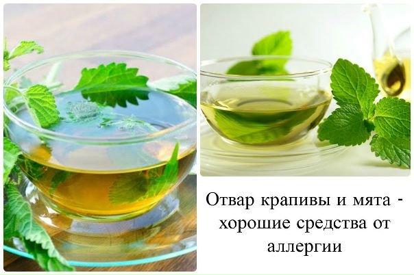 КАКИЕ НАРОДНЫЕ СРЕДСТВА ПОМОГУТ ОТ АЛЛЕРГИИ 