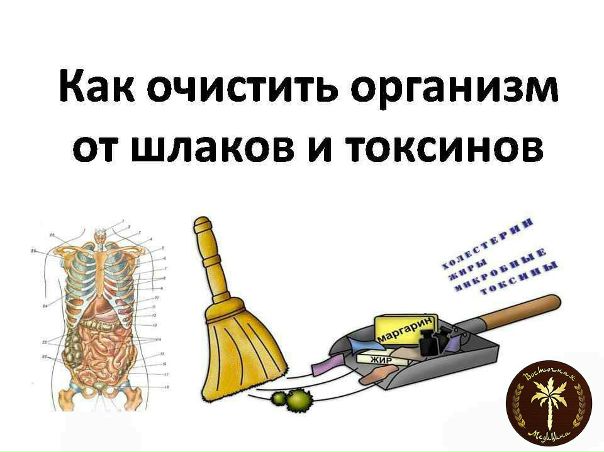 КАК ПОНЯТЬ, ЧТО ВАШ ОРГАНИЗМ ЗАШЛАКОВАН 