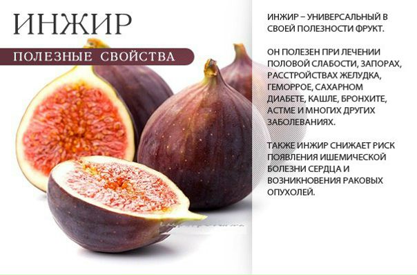 Лечебные свойства инжира: 