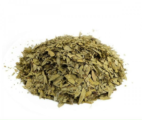 Сенна мекканская (кассия узколистная)