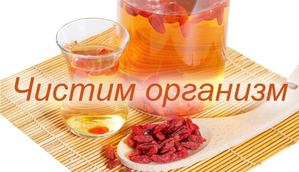 ПОЧИСТИ ОРГАНИЗМ  