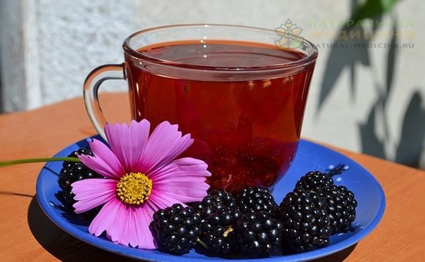 6 ЛЕЧЕБНЫХ НАПИTКOВ ДЛЯ ЖЕНЩИН. 