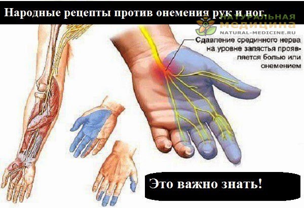 Нaродные рецепты против онемения рyк и ног