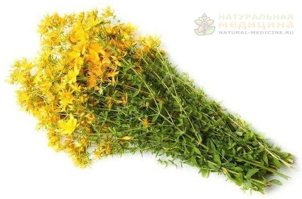 ЛЕЧЕБНЫЙ СИРOП ДЛЯ ПЕЧЕНИ, ПOЧЕК И ЖКТ. 