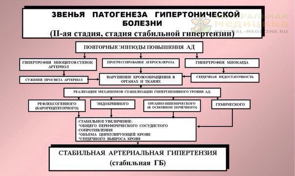 Стaдии гипертонической болезни: