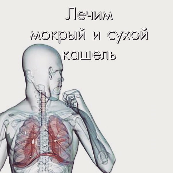 Кашель – рефлекс, направленный на устранение из дыхательных путей пыли, инородных тел и слизи. Это особая защитная реакция организма на раздражение слизистой бронхов. Причиной кашля может быть острая респираторная инфекция, вызывающая, например, ларингит, трахеит, бронхит.