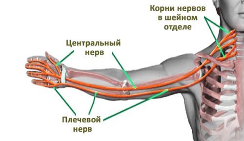 Немеют руки по ночам 