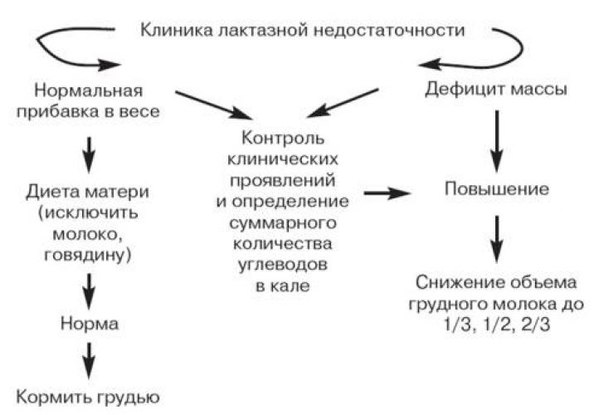 Лактазная недостаточность 