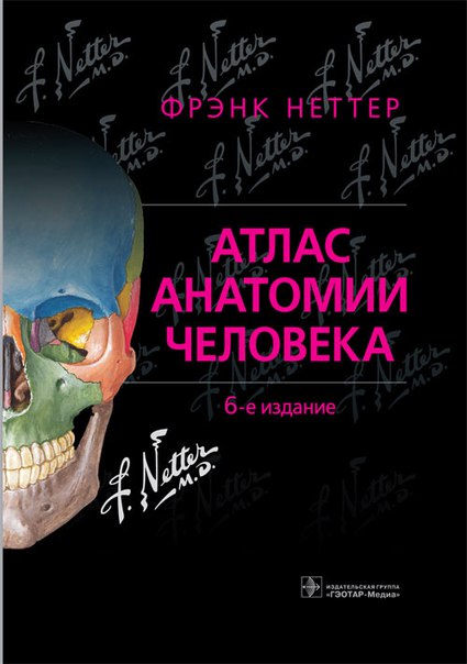  Нашли самый привлекательный по цене 