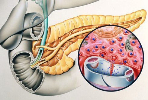 Гормон ИНСУЛИН - что нужно знать 
