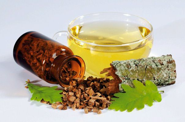 Лечение корой дуба.