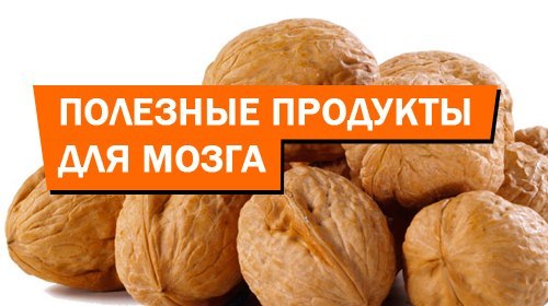 Чем кормить мозг