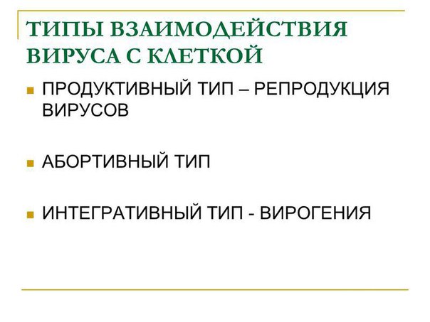 Типы взаимодействия вируса с клеткой