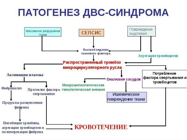 ДВС-синдром – неспецифический патологический процесс, характеризующийся распространенным свертыванием крови и агрегацией клеток крови в микроциркуляции, ведущим к блокаде микроциркуляции, гипоксии, ацидозу, дистрофии органов, развитию полиорганной недостаточности. ДВС-синдром осложняет самые разнообразные формы патологии: инфаркт миокарда, кардиогенный шок, различные виды злокачественных новообразований, обширные оперативные вмешательства, тяжелую гипоксию, акушерскую патологию, переливание несовместимой крови, системную красную волчанку, иммуноком-плексные заболевания, цирроз печени. 