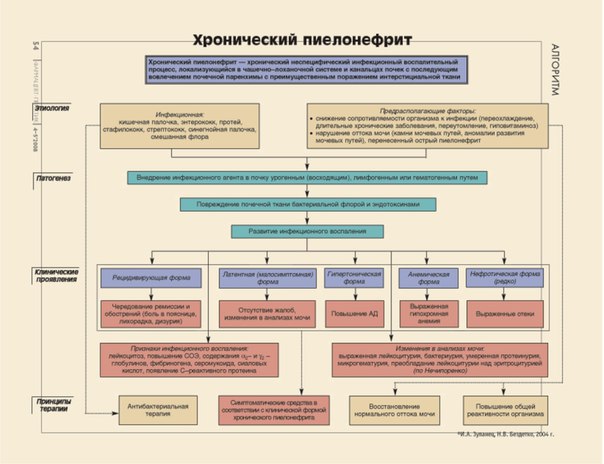Пиелонефрит 