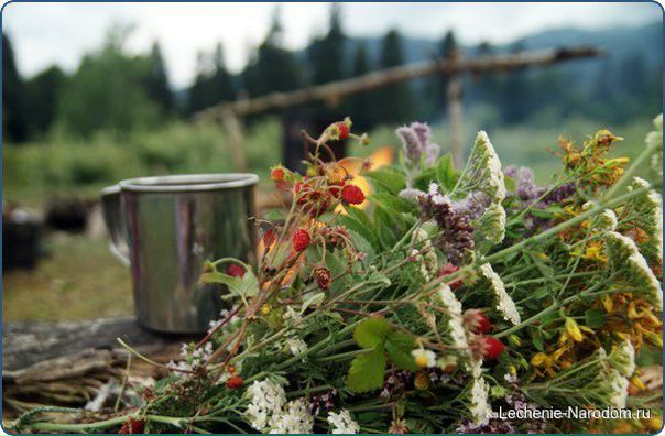 7 полезных травяных чаев: 7 полезных травяных чаев: