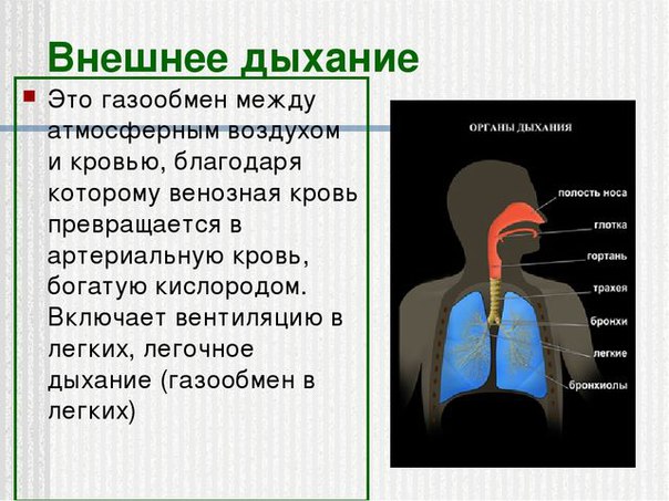 Нарушения внешнего дыхания 