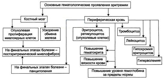 Эритремия (истинная полицитемия) - заболевание, относящееся к опухолям системы крови и характеризующееся нерегулируемой пролиферацией всех ростков кроветворения, в особенности эритроцитарного. 