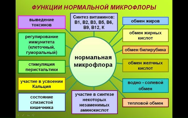 Нормальная микрофлора тела человека 