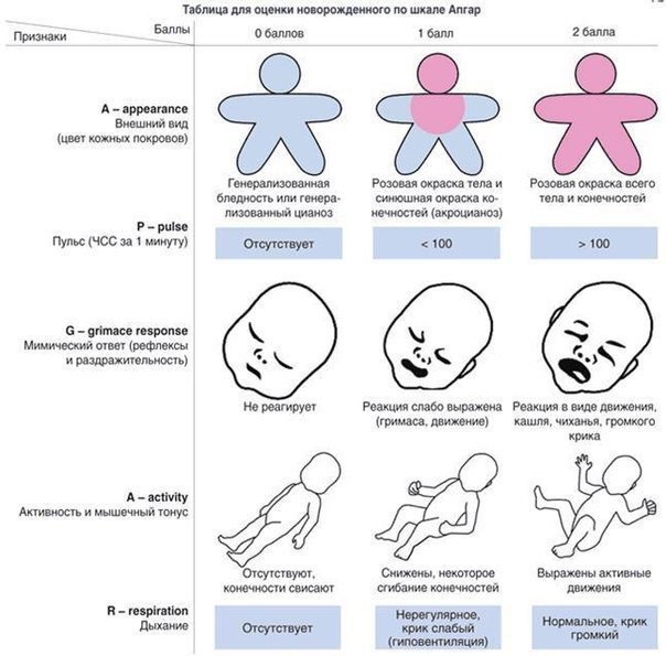 Шкала Апгар - мнемоническая запоминалка. 
