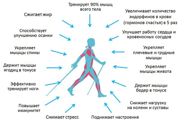 СКАНДИНАВСКАЯ ХОДЬБА 
