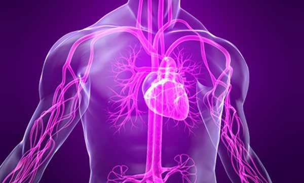 КАК ВЫЛЕЧИТЬ ВЕГЕТО-СОСУДИСТУЮ ДИСТОНИЮ 