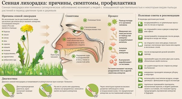 Цветущие и благоухающие растения в сезон цветения доставляют массу неудобств аллергикам Один из наиболее часто встречающихся видов аллергии, носящий сезонный характер – сенная лихорадка (поллиноз). 