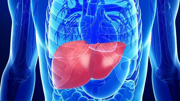 Прожаренные стейки провоцируют развитие опасного заболевания печени