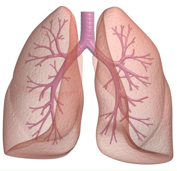 Степени хронической дыхательной недостаточности: 