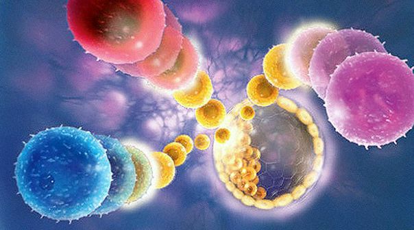 Стволовые клетки совершат революцию в пластической хирургии и косметологии 