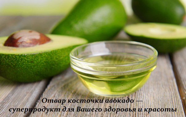 Отвар косточки авокадо — суперпродукт для Вашего здоровья 