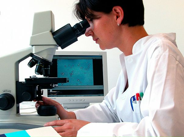 Ученые провели революционную пересадку стволовых клеток