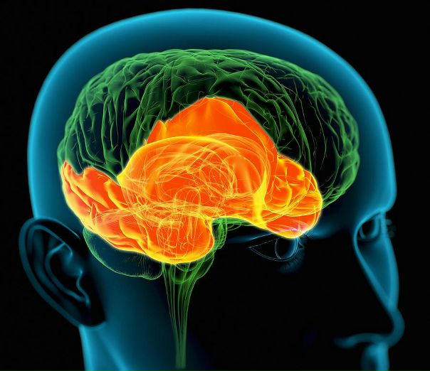 Признаки поражения височной доли