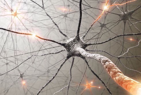 Самые приятные симптомы смертельных заболеваний: 