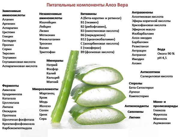 ЗРЕНИЕ ВОЗВРАЩАЕТСЯ БЕЗ ОПЕРАЦИИ 